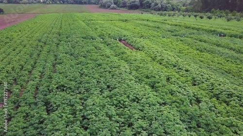 Aerial drone shot of a green house surrounded by agricultural land. Clip. Aerial view on countryside. Farm workers getting ready for growing vegetables, fruits and herbs. Vegetable Fields and photo