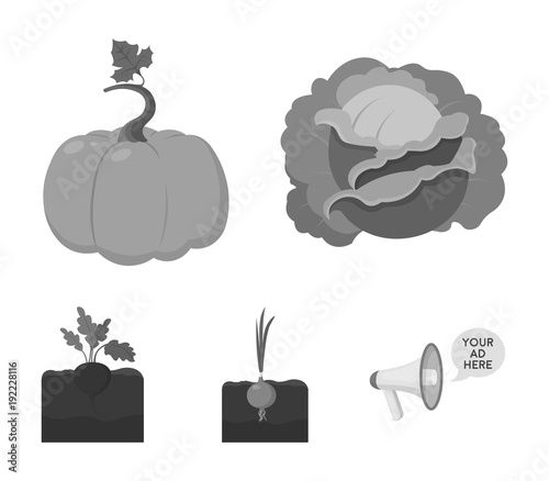 Cabbage, pumpkin, onion, buriak.Plant set collection icons in monochrome style vector symbol stock illustration web. photo