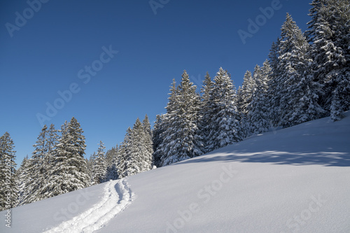 Winterwonderland Schneeschuhtour durch frisch verschneiten Bergwald