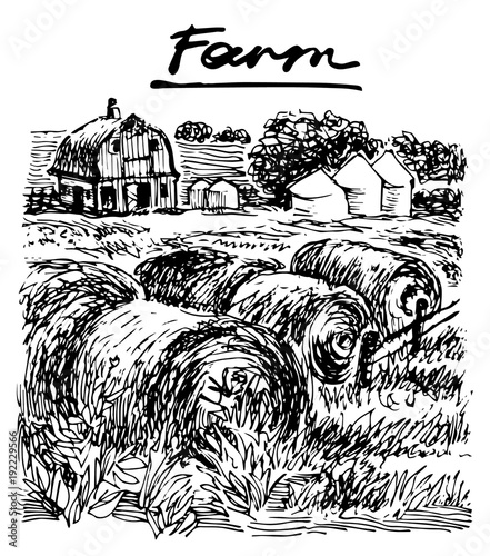 Farm landscape. Vector hand drawn graphic illustration.