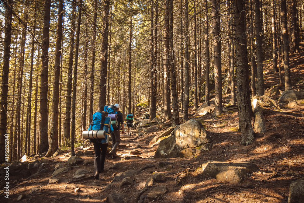 Obraz premium Retezat mountains