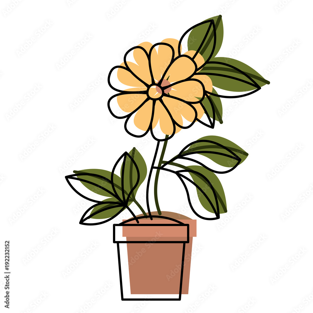 flower in pot floral decoration vector illustration design flower in pot floral decoration vector illustration design