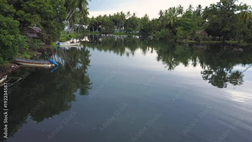 A medium shot of a tree and a lake. Camera moves forward A medium shot of a tree and a lake. Camera moves forward