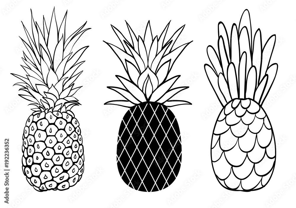 Fototapeta premium Vector set of three pineapple fruit styles summer tropical object collection. Great for travel, party invitation or packaging.