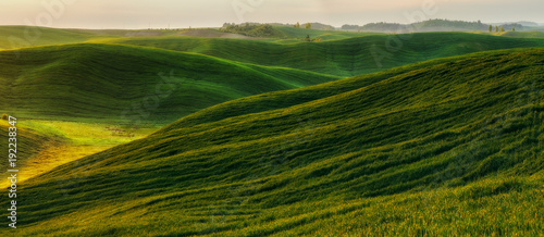 Green field. picturesque hills. beautiful spring field © sergnester