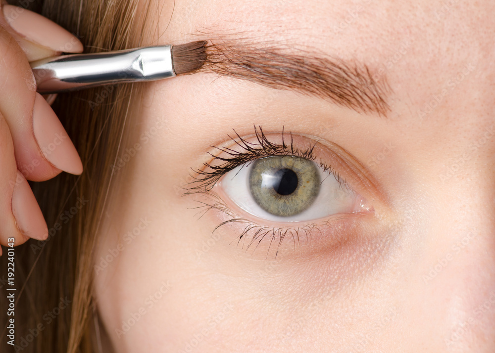 Female eye natural brush for painting eyebrow