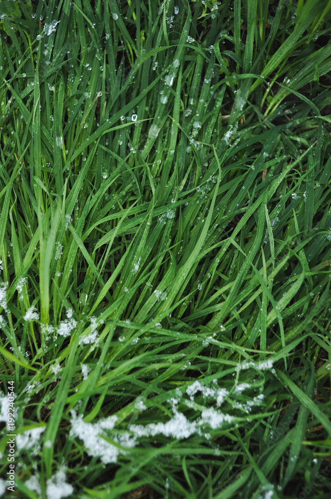 Lawn covered with snow. Lawn covered with snow.