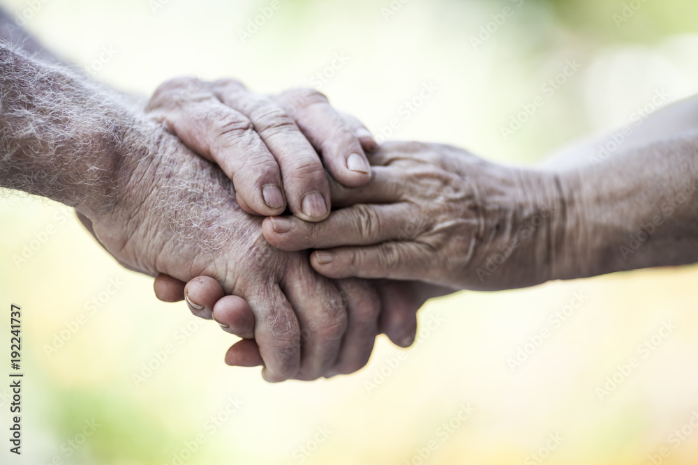 Fototapeta premium Holding Senior Hands