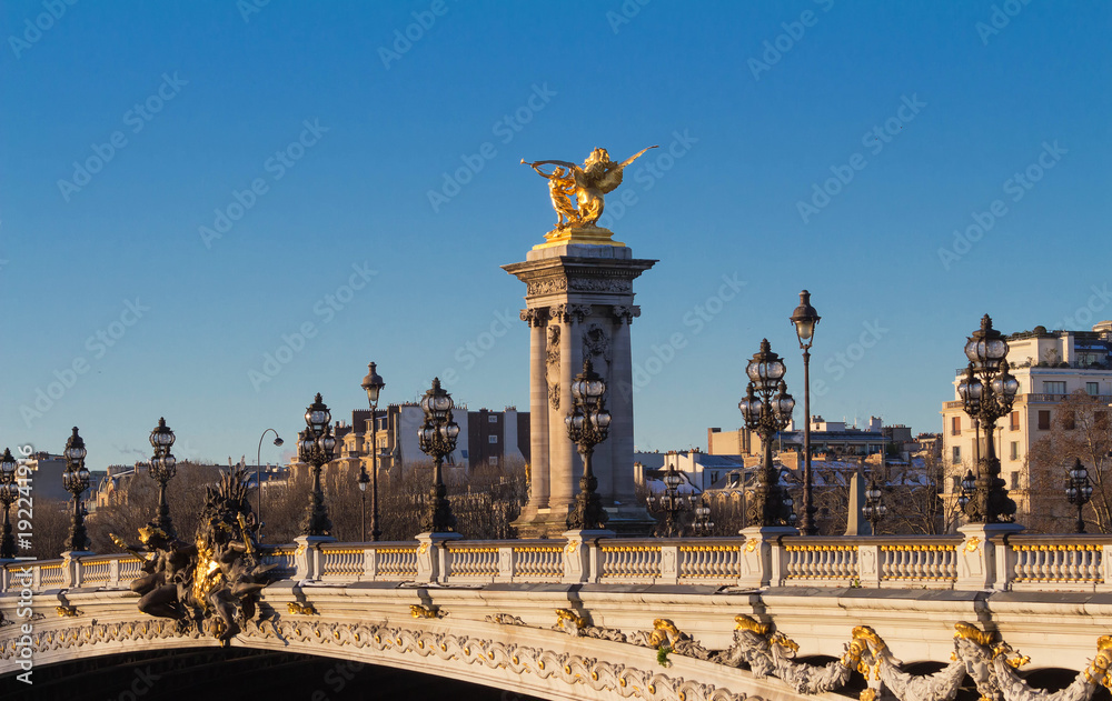 Obraz premium The famous Alexandre III bridge in Paris, France