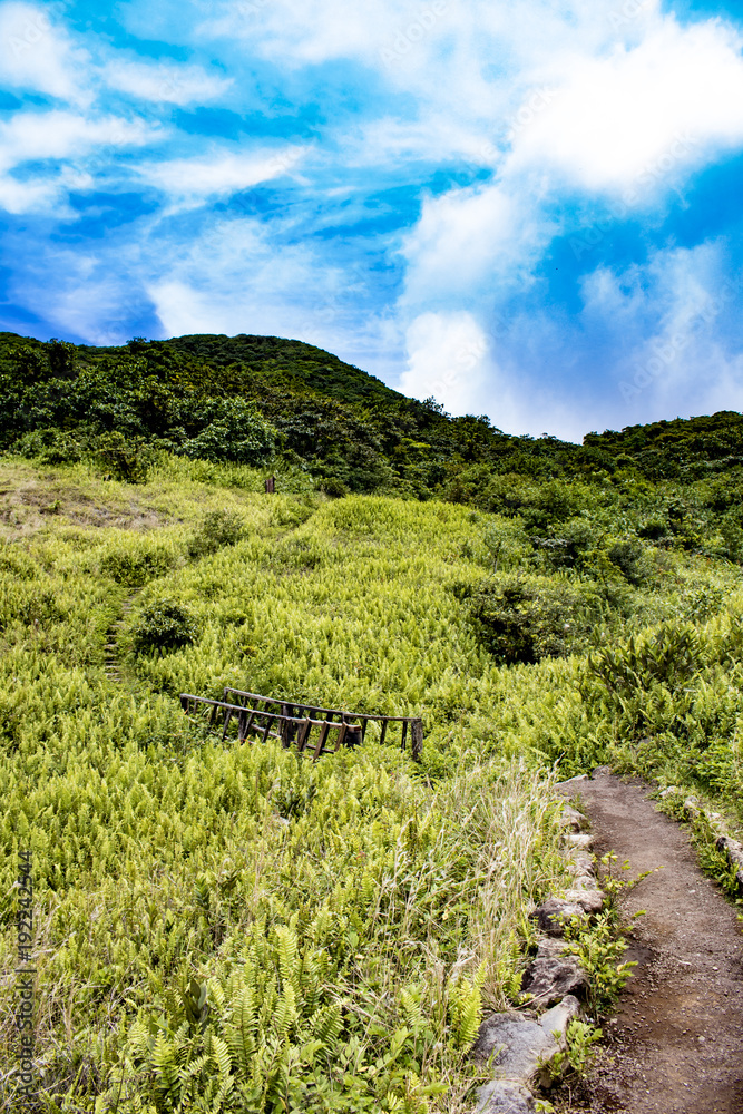Naklejka premium Dirt Trail and Wooden Bridge Leading through the Fern Covered Side of Mombacho Volcano, Nicaragua