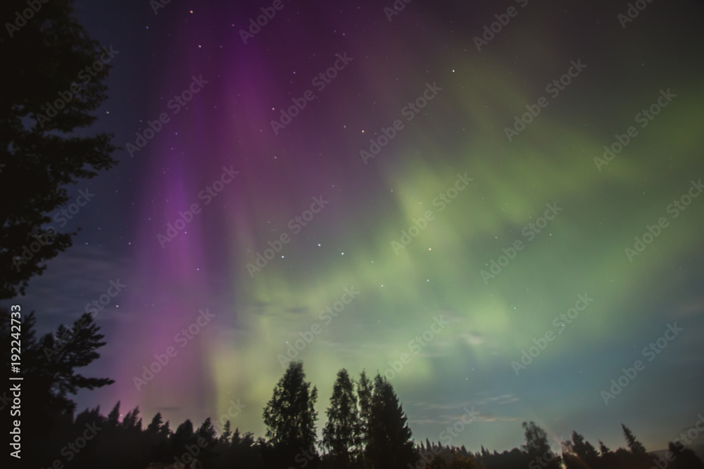 Beautiful aurora borealis, nothern lights in Karelia, Russia