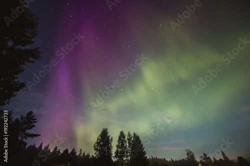 Beautiful aurora borealis  nothern lights in Karelia  Russia