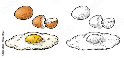Fried egg and broken shell. Vintage color engraving illustration