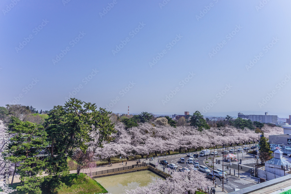 春の弘前城の風景