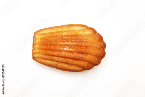 Madeleine cookie on white background         photo