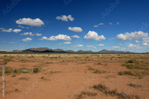 Canvas-taulu Desert Land