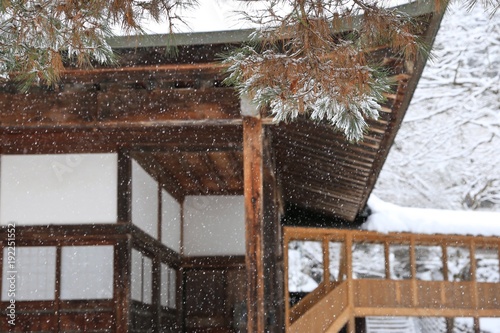 snow on pine trees in a Japanese Buddhism temple in winter