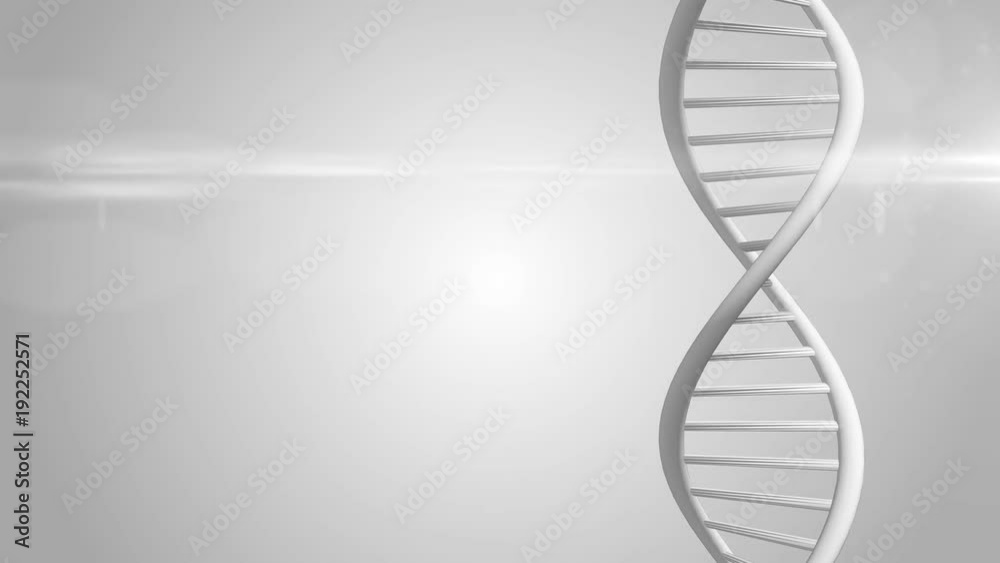 CRISPR Cas9 Genetic manipulation DNA repair mechanisms genetic engineering