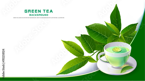Green tea leaves vector nature background.