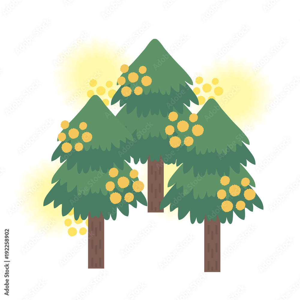 花粉症 スギの木 イラスト Stock ベクター Adobe Stock