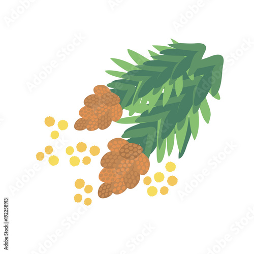 花粉症　スギの木　イラスト
