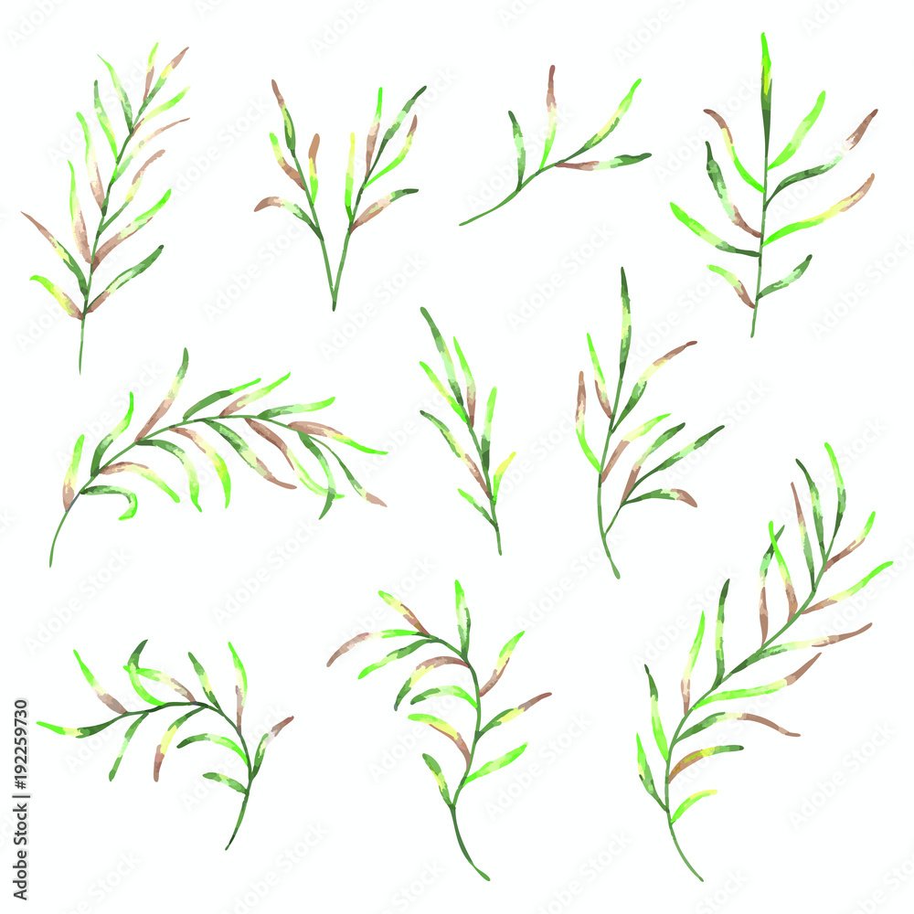 Big set of different shapes of watercolour natural leaves