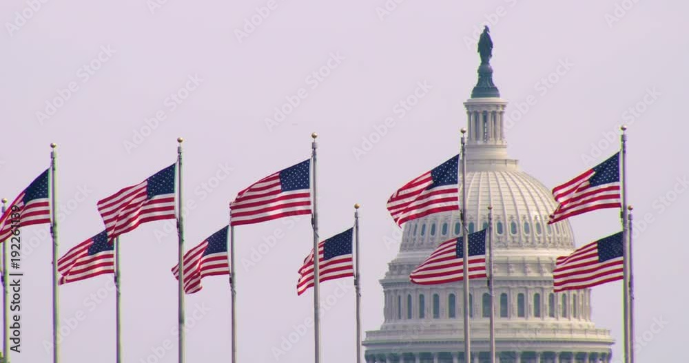 The United States Capitol Building with US Flags in foreground