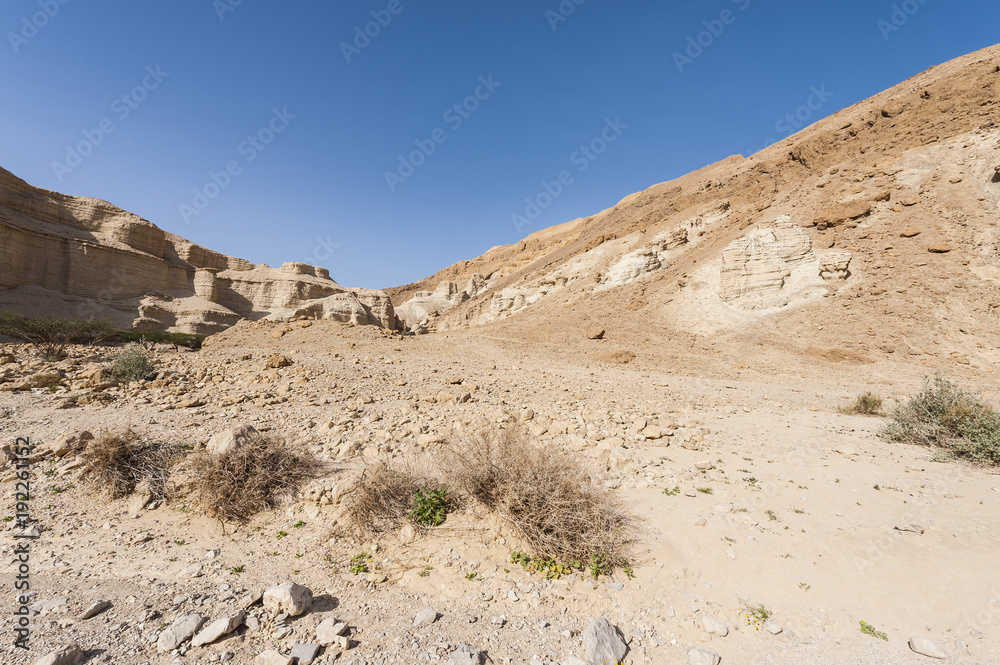 Stone desert in Israel Stone desert in Israel