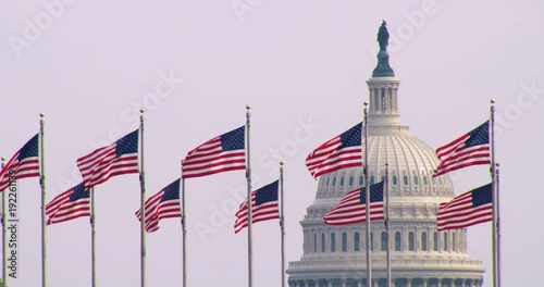 The United States Capitol Building with US Flags in foreground photo