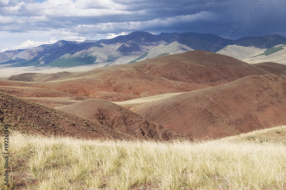Obraz premium Alpine steppe