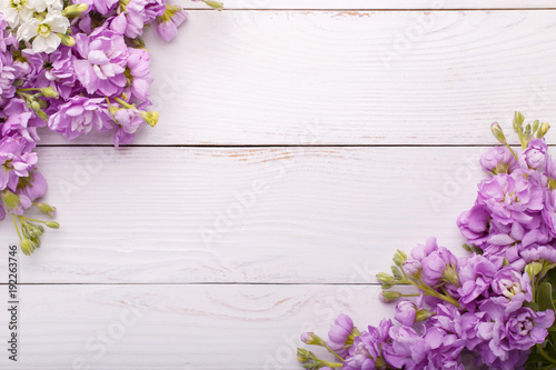 Fototapeta Naklejka Na Ścianę i Meble -  Lilac matthiola flowers