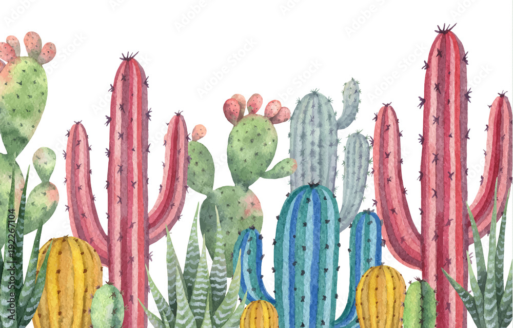 Obraz Akwarela wektor banner kaktusów i sukulentów na białym tle.
