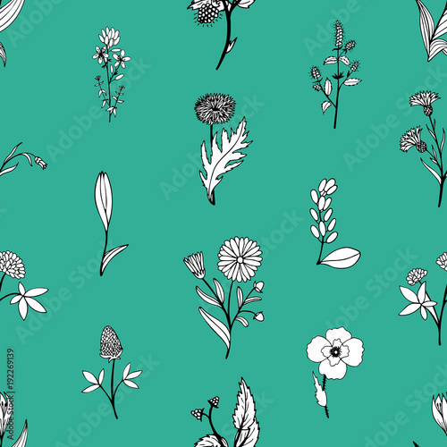 Gentle flower seamless pattern with hand-drawn medicinal herbs.