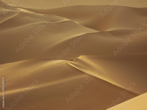 barkhans in the desert, background of sand dunes © evgenii