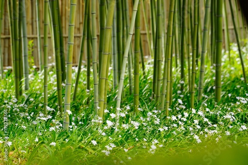 竹と花々.