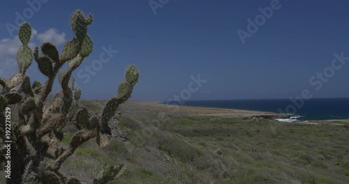 Curacao Coastal Landscape