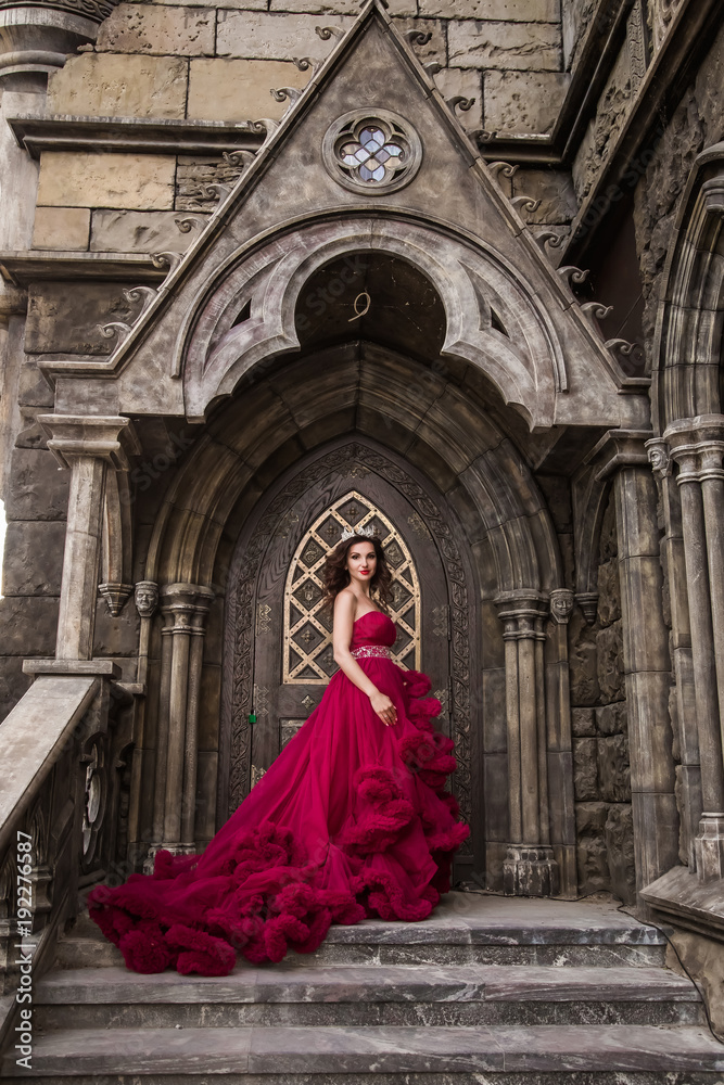 A beautiful woman, a queen in a red dress, stands on the background of a medieval, Gothic door on the stairs with an arch, silver caron with crystals. The Princess at the Castle