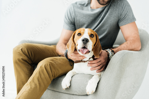 cropped image of man palming cute beagle isolated on white