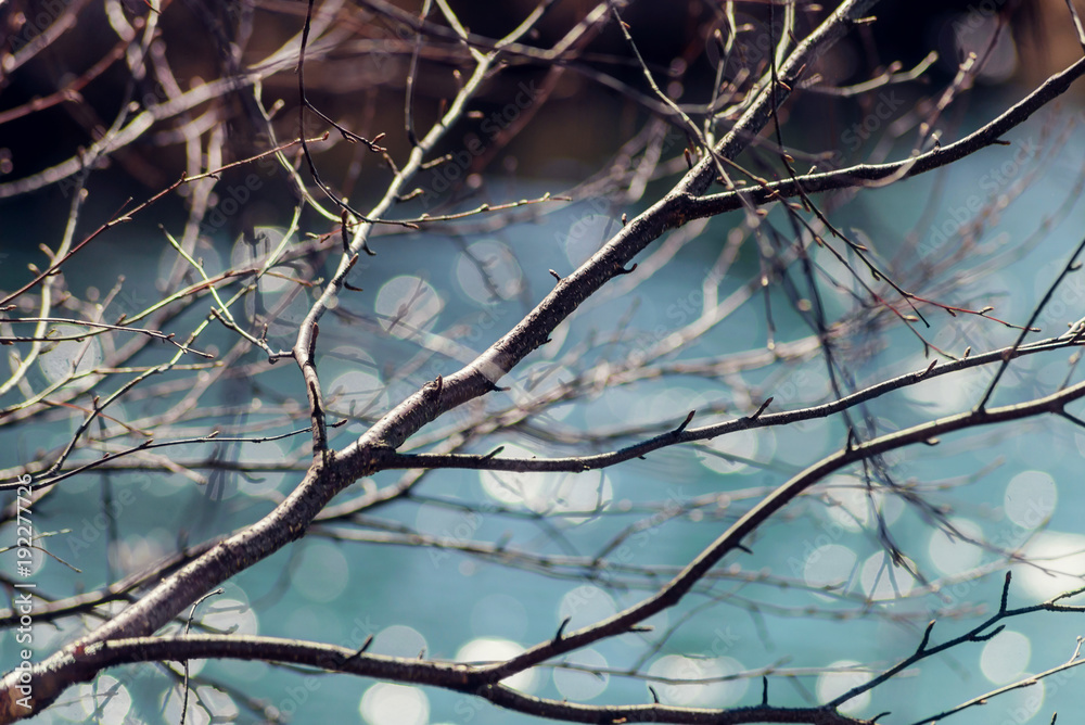 spring landscape, melting ice on a forest lake, clear water spring landscape, melting ice on a forest lake, clear water