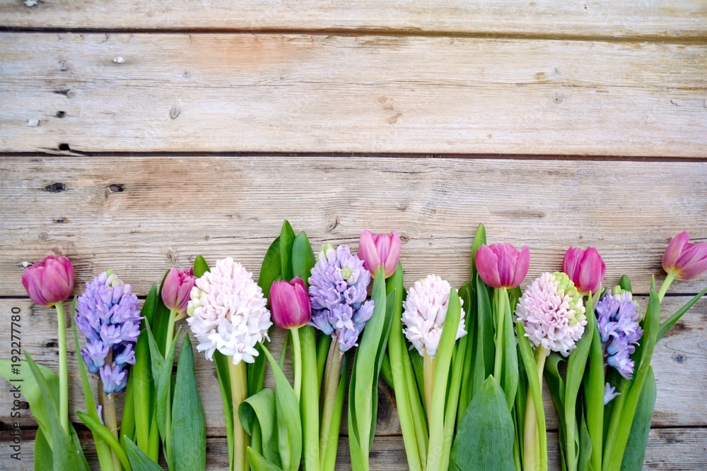 Fototapeta Wiosna kwiaty - kwieciści powitania Wiosna