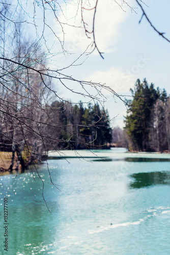 spring landscape, melting ice on a forest lake, clear water photo