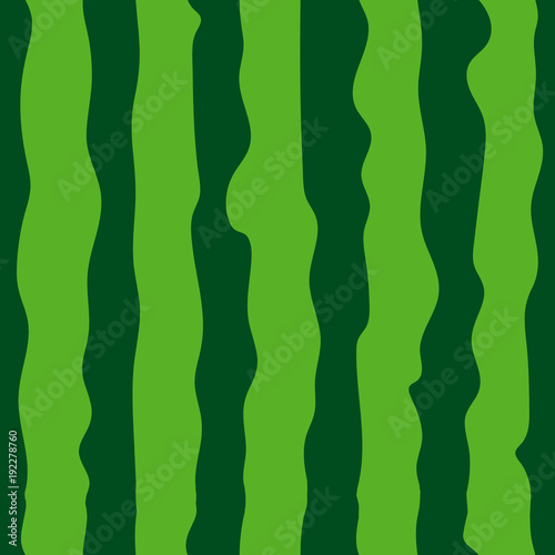 Watermelon seamless pattern. green watermelon striped background. Vector illustration