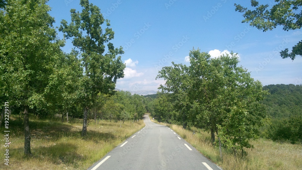 A road in the southern countryside of France with trees A road in the southern countryside of France with trees