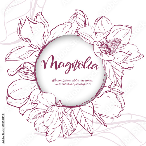 Sketch linear magnolia blossom.