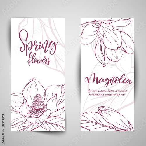 Sketch linear magnolia blossom.