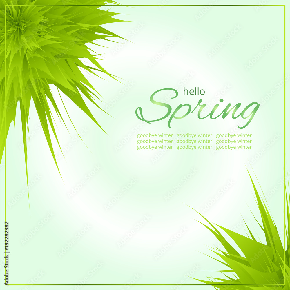 Hello spring green card. Congratulation card with fresh green grass on bright greenish gradient background with slogan and place for your text. Vector illustration