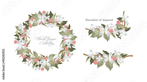 Floral Frame set, deco of dogwood