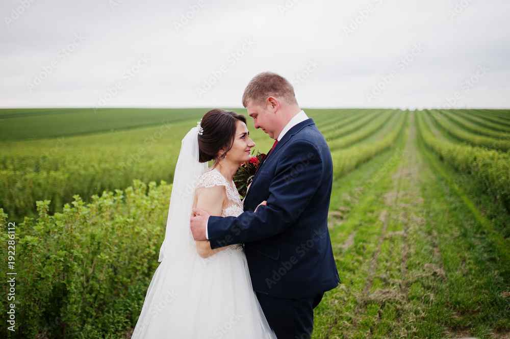 Attractive young wedding couple posing on the blackcurrant field on their wedding day. Attractive young wedding couple posing on the blackcurrant field on their wedding day.