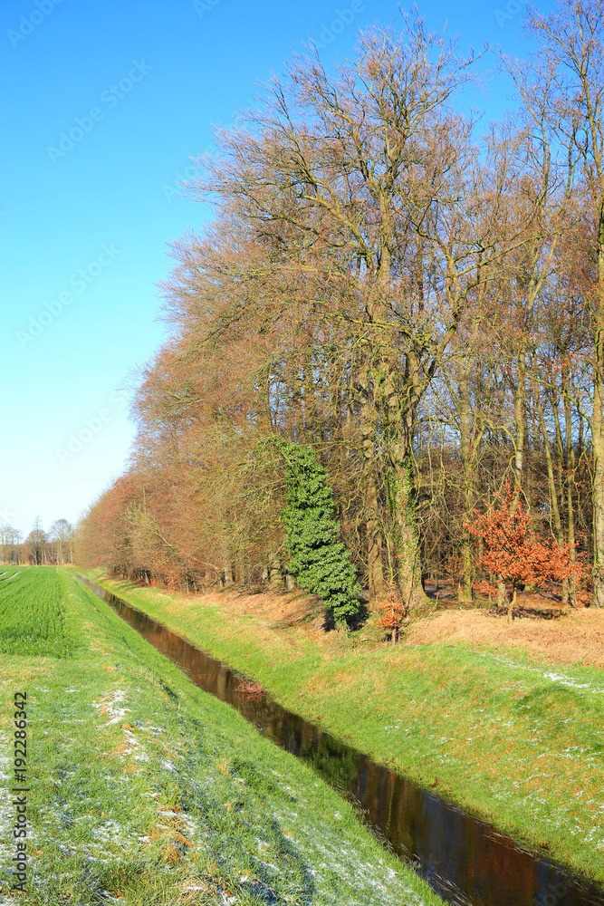 Naklejka premium Scenic landscape near Warendorf in Westphalia, Germany