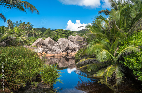 Lake in the jungle, La Digue island, Seychelles